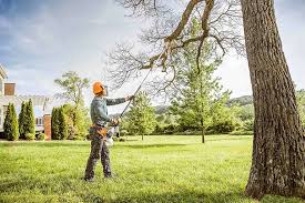 Somers, WI Tree Services Company